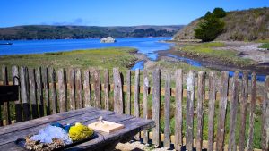 Hog Island Oyster Shack – Tamales Bay, California