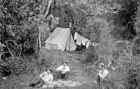 a bush picnic with three men and a tent, ca 1900